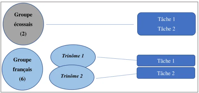 Figure 2 Répartition des tâches selon les groupes 