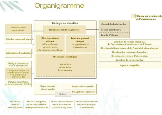 Figure 1 : Organigramme de l'Institut National de la Recherche Agronomique (3) 