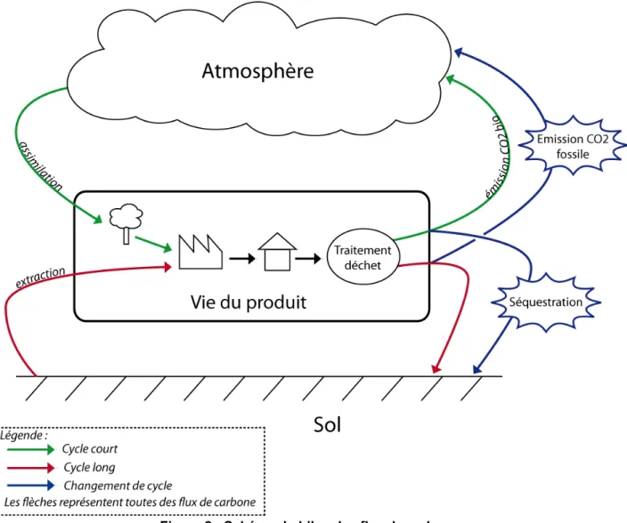 Figure 2 : Schéma du bilan des flux de carbone 