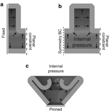 FIG. 2. Boundary conditions defined in the Finite Element Analysis (FEA) of both types of appendages