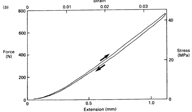Figure  3-6:  A  graph  of force  vs.  displacement  of the  gastrocnemius  tendon  of a Australian wallaby  (similiar to  a small kangaroo)