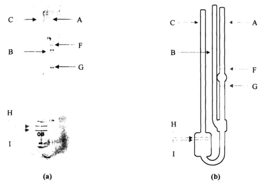 Figure 4.1  Ubbelohde viscometer (a) picture and (b) schematic.