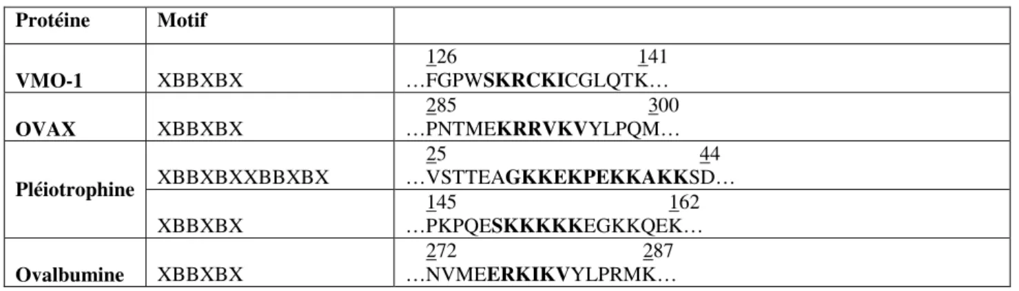 Tableau I: Séquences consensus de liaison à l’héparine présentes dans l’OVAX, la VMO-1, la pléiotrophine et  l’ovalbumine