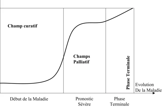 Figure 1: Limite Palliatif-Curatif 