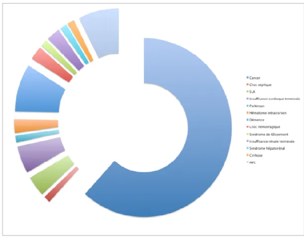 Figure 2 : Distribution des diagnostics à l'entrée 