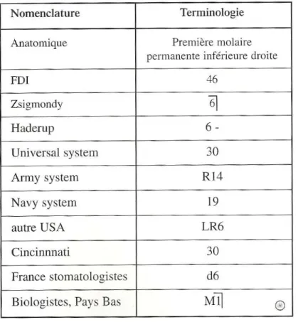 Figure 11 : exemple des différentes nomenclatures utilisées dans le monde odontologique