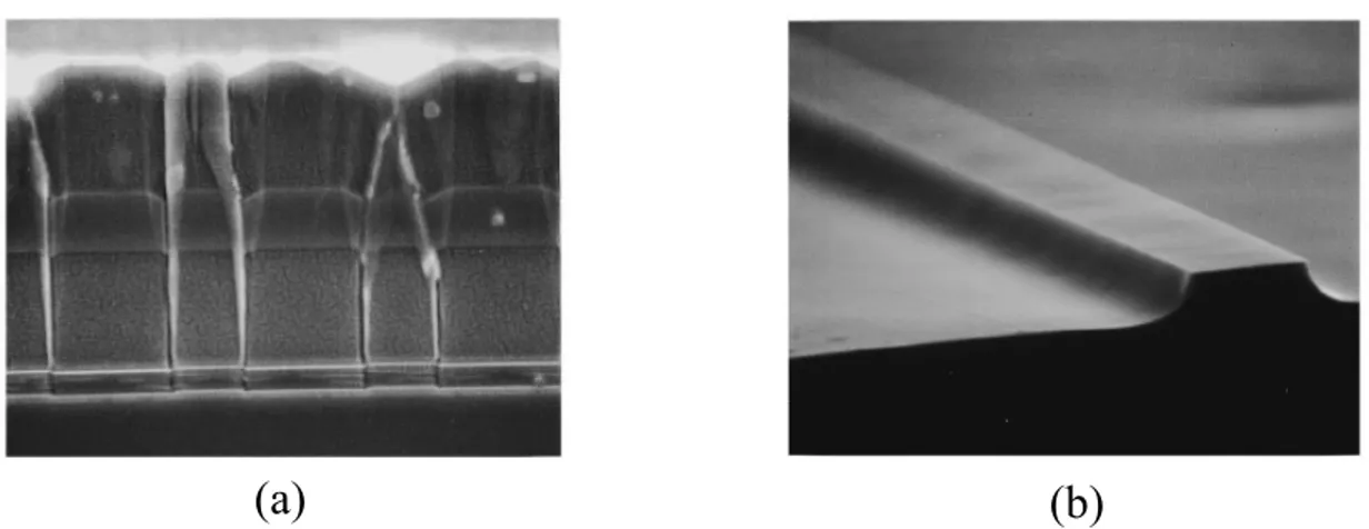 Fig. 2.33. Clichés de microscopie électronique à balayage tirés de [Yoo1995]. (a) illustre l’inversion périodique du signe de la  susceptibilité non linéaire
