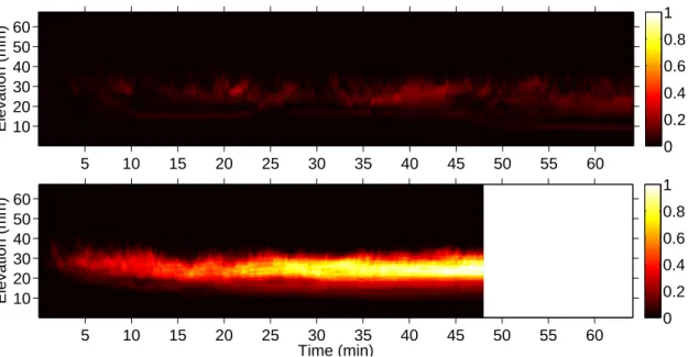 Figure 4.4: Temporal evolution of the normal profile (average over the distance) of the small-bead number normalized by pixel during the experiment ’mega’ (top : upstream-flow observation, bottom : downstream-flow observation)