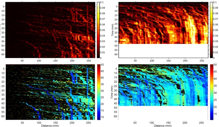 Figure 4.6: Temporal evolution of the longitudinal profile (averaged over the elevation) of the small-bead number by image (top) and of mean elevation of the segregation layer (bottom) during the experiment ’mega’ (left : upstream-flow observation, right :