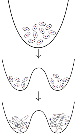 Figure I.1 – Gaz parfait de dimères bosoniques initialement dans un puits simple. Le gaz est ensuite séparé en deux composantes spatiales non polarisées par une évolution adiabatique du potentiel de piégeage vers un potentiel en double puits symétrique.