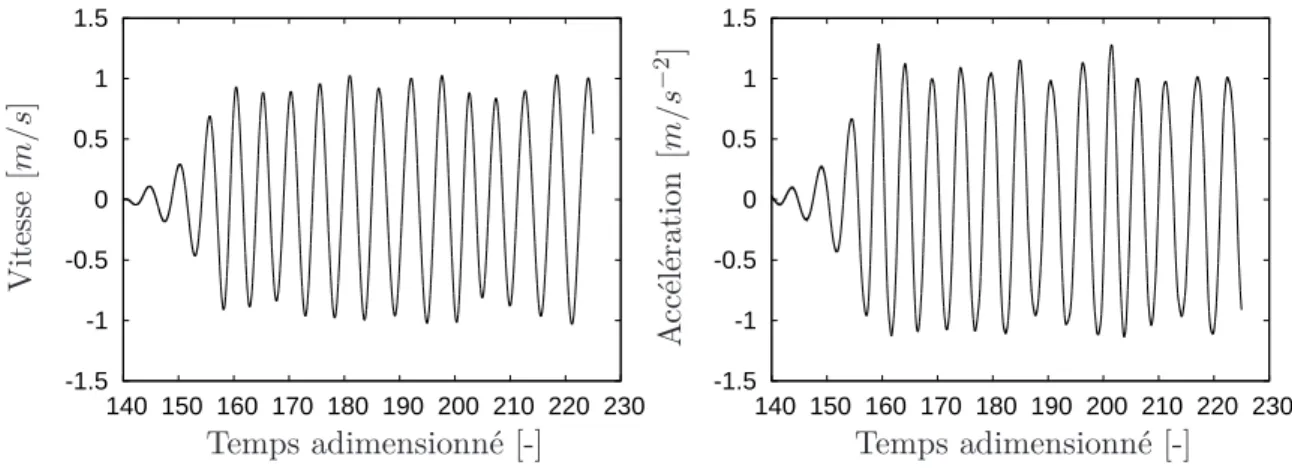 Fig. 4.3: Vitesse et accélération du cylindre pour une vitesse V r = 5 pour la conﬁguration m ∗ = 2, C s = 0