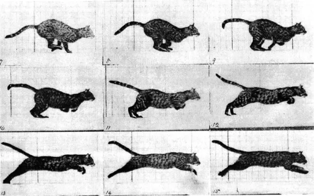 Figure  2-3:  Galloping  cat  as  photographed  by  Eadweard  Muybridge.  Frame  7-15  of  plate  128.