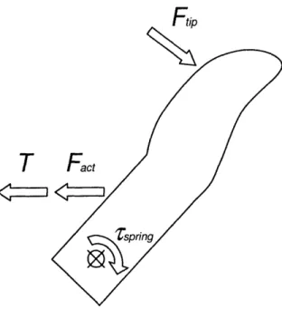 Figure 5.  Free body  diagram of forces  and torques acting on  the thumb in the testing apparatus.