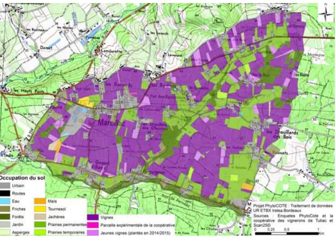 Figure 8: Résultat de l'AFC recroisant les variables propres à la  SAU en vignes sur l'exploitation et à l'âge de l'exploitant Figure 7 : Occupation des sols sur la zone d'étude 