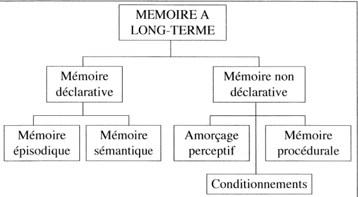 Figure  I  -  1  :  Organisation de la  mémoire  à  long-terme. D'après  Squire  (  1987)