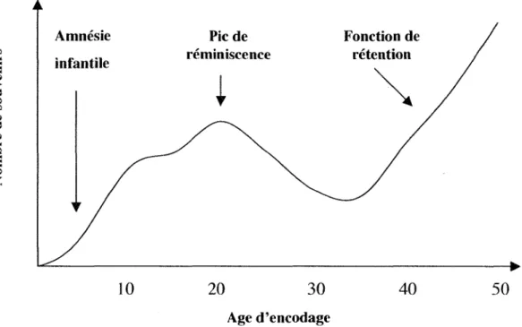 Figure  1-13  :  représentation idéale de la courbe de distribution des souvenirs. D'après  Conway  et Pleydell-Pearce (2000) 