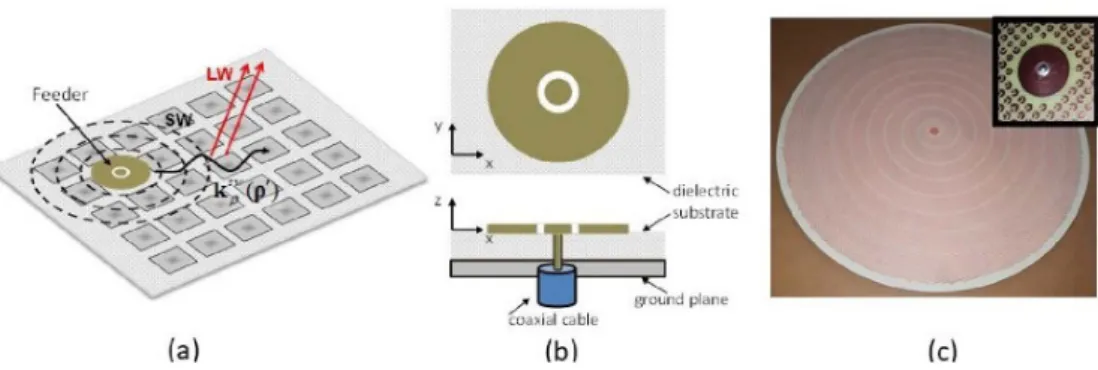 Figure 6. (a) General geometry. A propagating SW is transformed into a LW via impedance modulation