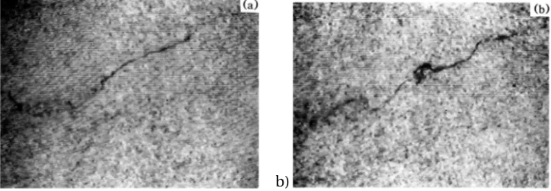 Figure 2. Experimental visualisation of filaments (extracted from Ref. [11]). Note that very high quality visualizations and quantitative measurements were later reported in Ref