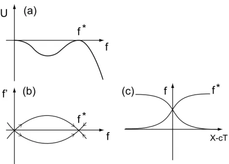 Figure 3. Kink-type solutions of (24). (a) The shape of the potential U( f ) given by (25) for λ = λ ∗ 
