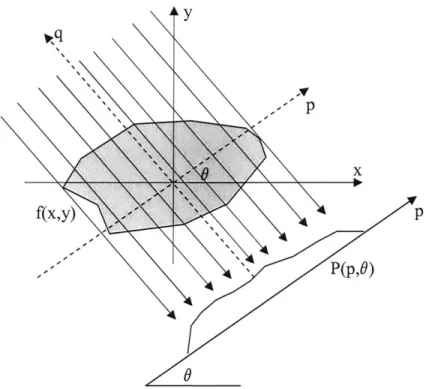 Figure 4.4: Line integral projection  P  (p,  0)  of the 2-D  Radon transform.