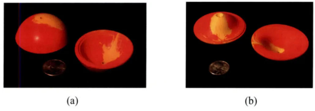 Figure  3-1:  Poppers  in  the  Natural (a)  and Inverted  (b) States  [1]