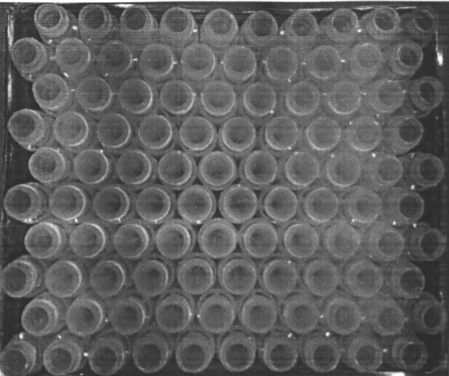 Figure  5-1:  Image  Mask  for  template-matching.  The  algorithm  used  to  generate  the mask  is  listed  in  A.1.