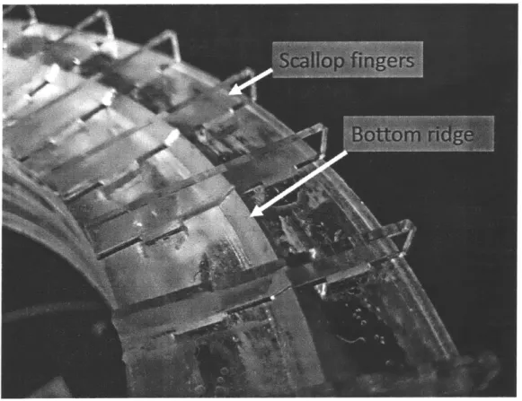 Figure  4-2:  Scallop  fingers  and  bottom  ridge  confine  the  position  of  vials