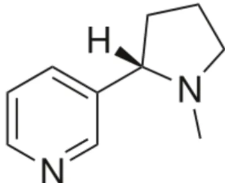 Figure 5 - Formule chimique de la nicotine 