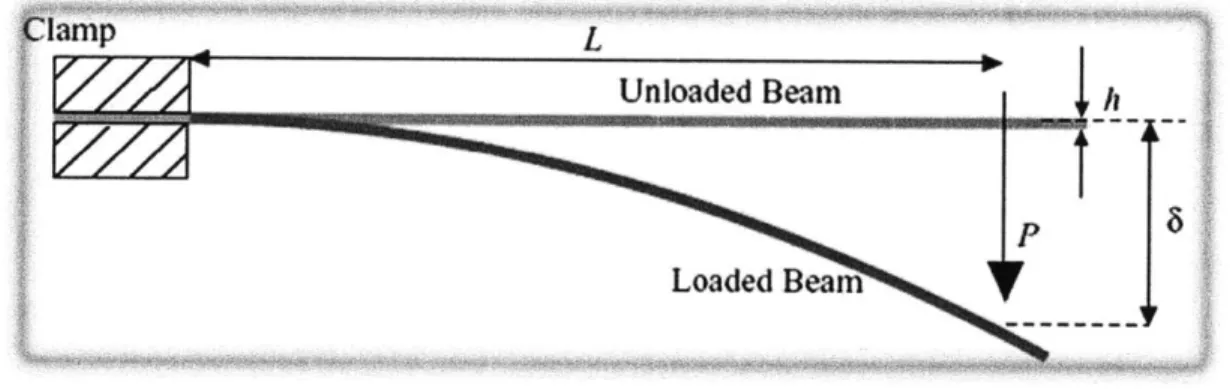 Figure 3.1: shows  a cantilevered  beam deforming  under a load P [10]
