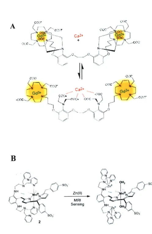 Figure  4 A  ( 1  + BI I:fi Cl  0a2+  .C G3 N Zn(II) MRI Sensing............