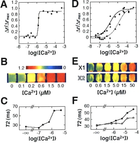 Figure  6 A  1.0&#34; x 0.8 0.6 0.4 0.2 0 -8  -7  -6  -5  -4  -3 log([Ca2+ 1.2M  0 0  0.1  0.2  0.6  1.5 5.0 [Ca 2 +J  (pM) C 70 50   --30   --00  -7  -6  -5 log([Ca2+]) D 12  1.00.8  -0.6  -0.4 0.2   -I  I  ,-8 -7 -6  -5 -4  -3EFx1m ,1  I  IAM0  0.6  1.5 