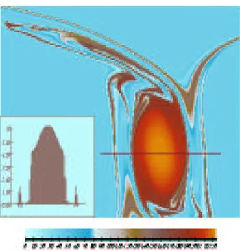 Figure 4: Vortex dans un champ de d´eformation externe (repris de Mariotti et al., 1994)