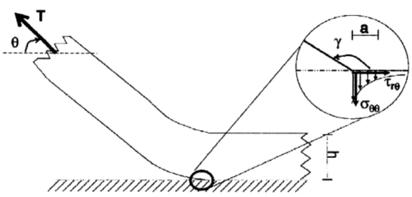 Figure  7: Illustration  of Separation  at The  PDMS-Silicon  Wafer  Boundary  [22]