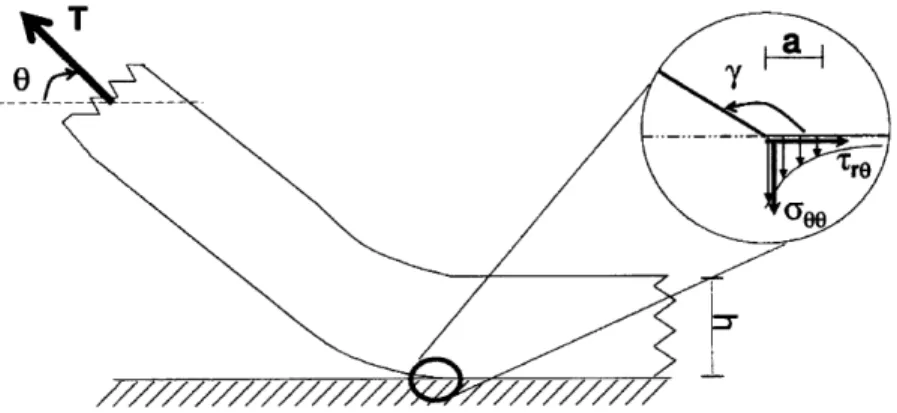 Figure  7: Illustration of Separation at The PDMS-Silicon  Wafer Boundary  1221