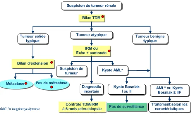 Figure 5 : Arbre décisionnel du bilan diagnostic des tumeurs rénales. 