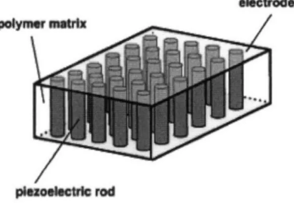 Figure 1.3:  Structure  of a  1,3-piezocomposite:  piezoelectric  rods distributed  in a polymer matrix