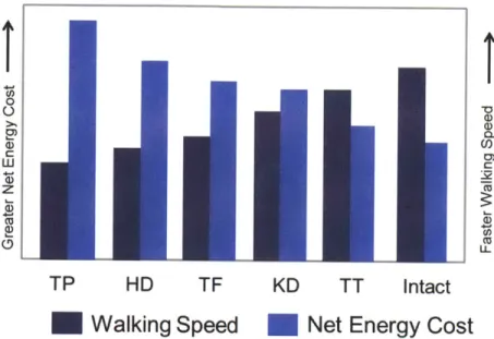 Figure 2.1  . Amputee walking:  relative  pace and energy  consumption(  (Rose  and Gamble  2006) from  modified  data in (Waters and Mulroy  1999))