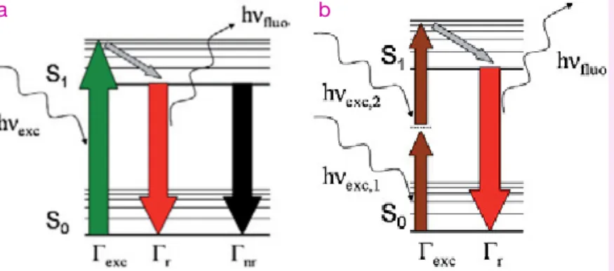 Diagramme simplifié de Perrin-Jab onski pour les processus de fluorescence monophotonique (a) et biphotonique (b).