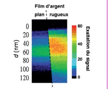 Figure 7 - Distribution de fréquences spatiales de la surface d’un film d’argent nanorugueux.