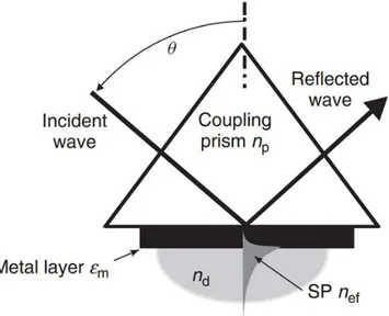 Figure 1.2 – Principe de fonctionnement d’un détecteur à SPR sur un prisme [5]
