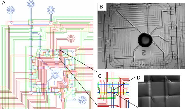 Figure 10: (A) AutoCAD design for a microfluidic sortostat.  (C) and (D) outline the position of the sorting  chamber