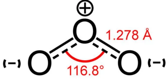 Figure 1 : Structure moléculaire de l'ozone. (123) 