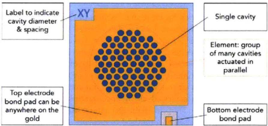 Figure 3.3: A  schematic of the chip  design,  with  call outs  for important  design features