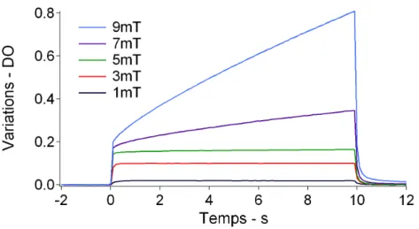 Figure 2.6  Variations de DO de billes non greées (0,04% w/v) sous diérentes valeurs de champ magnétique axial