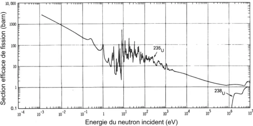 Figure 1.1 – Evolution de la section efficace de capture neutronique de 238 U et 235 U en fonction de l’´ energie cin´ etique du neutron incident [1].