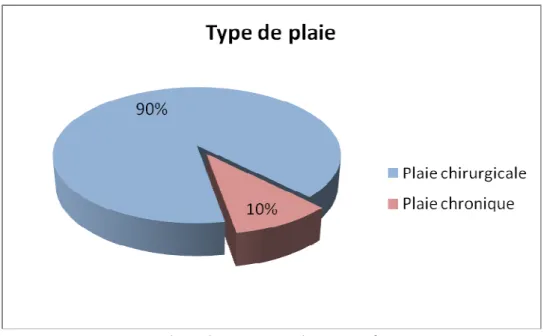 Figure 8 : Type de plaie rencontré. 