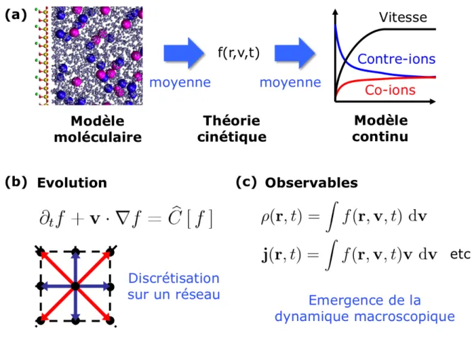 FIGURE ENCADRE 2 – (a) Entre une description moléculaire où la trajectoire de chaque  atome est suivie au cours du temps et une description continue en termes de champs (densités,  vitesse, ...) se trouve la théorie cinétique, dont l'élément central est la