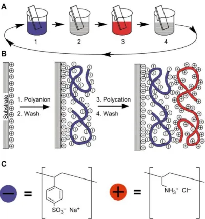 Figure 1.10  ─ Schéma  de  la  méthode  de  dépôt  couche  par  couche  de  polyélectrolytes  de  charges  opposées  (technique LBL)