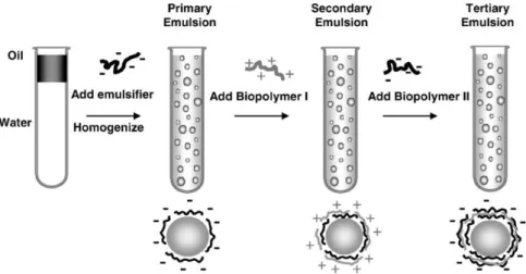 Figure 1.11  ─  Utilisation de la technique LBL pour la production d’émulsion O/W. D’après Guzey et al