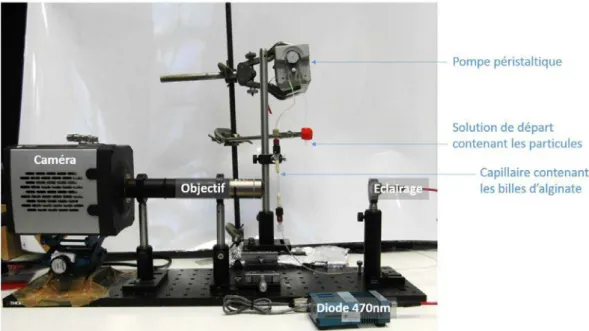 Figure 2-6 : Photographie du dispositif expérimental permettant la quantification de la capture des particules sur  les billes d’alginate